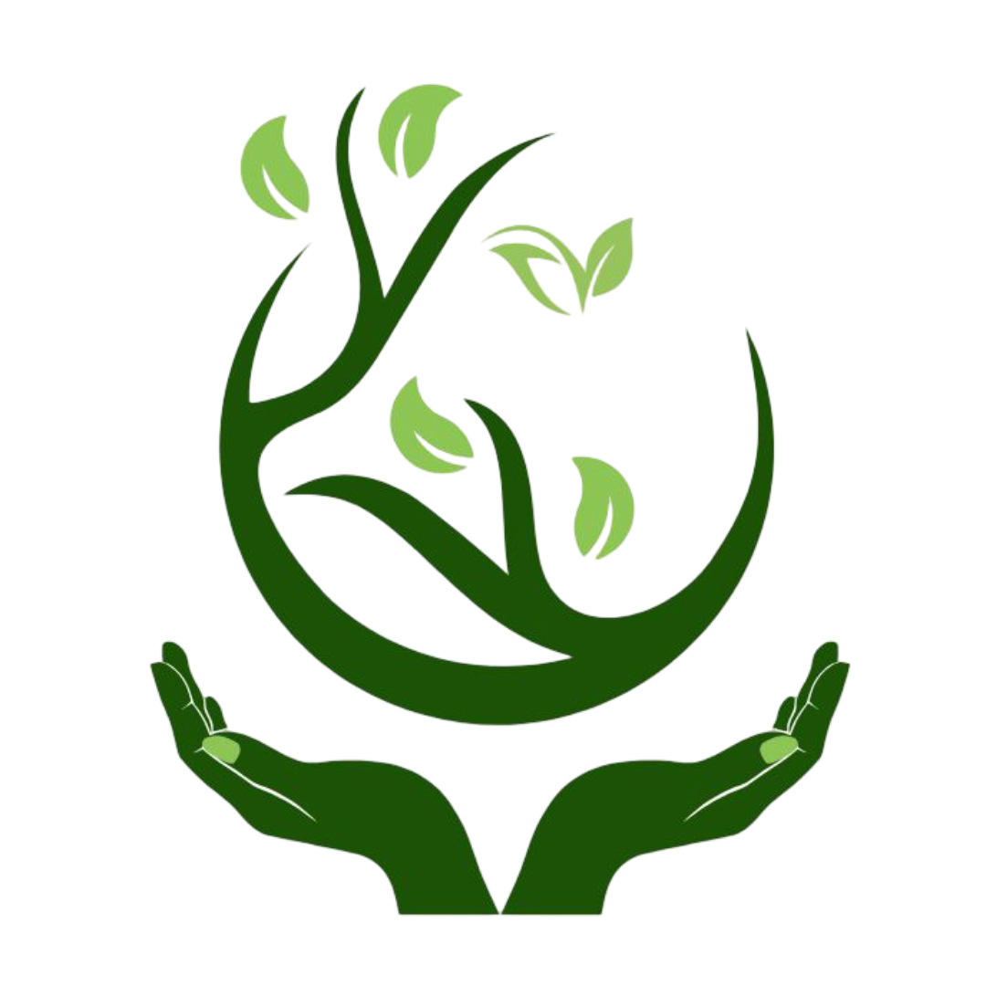 XIII International Workshop on Sap Flow